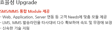 효율성 Upgrade - SMS/MMS 통합 Module 제공 - Web, Application, Server 연동 등 고객 Needs에 맞춤 모듈 제공 - LMS, MMS 발송라인을 타사대비 다수 확보하여 속도 및 무장애 보장 - 신속한 기술 지원