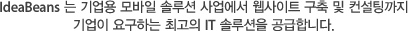IdeaBeans 는 기업용 모바일 솔루션 사업에서 웹사이트 구축 및 컨설팅까지
	기업이 요구하는 최고의 IT 솔루션을 공급합니다. 