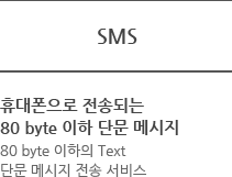 SMS - 휴대폰으로 전송되는 80 byte 이하 단문 메시지 80 byte 이하의 Text 단문 메시지 전송 서비스