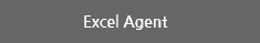 Excel Agent