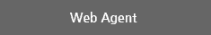 Web Agent